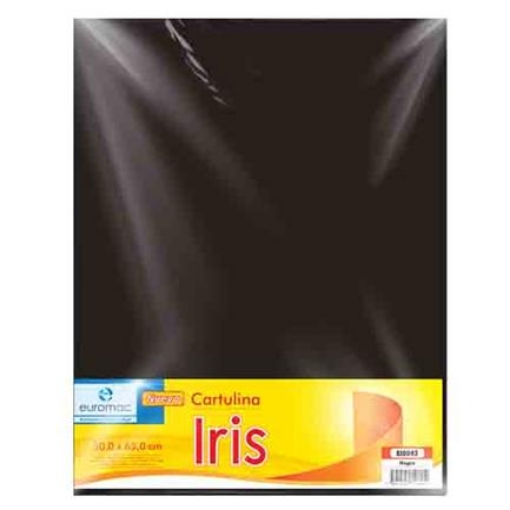 Imagen de CARTULINA EUROMAC IRIS NEGRO 50X65CM C/10