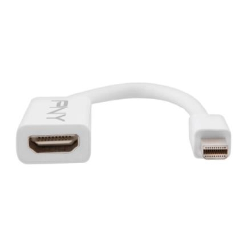 Imagen de Adaptador PNY Mini Display Port a HDMI (Macho-Hembra)