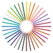 Imagen de Colores BIC Evolution Mina 3mm Estuche C/24 Pzas
