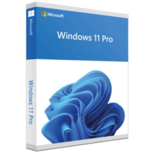 Imagen de Microsoft Windows 11 Pro For Wrkstns 64 Bits Base License DVD-ROM Spanish