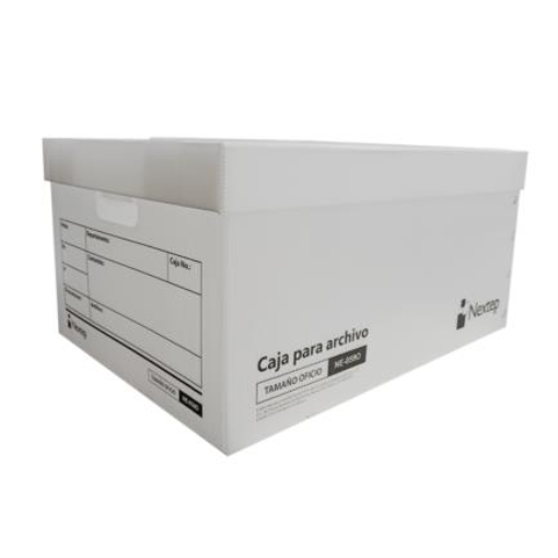 Imagen de Caja Archivo Nextep Plastica Economica Oficio C/12