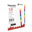 Imagen de Separador Nextep Economico 15 Divisiones sin Numero