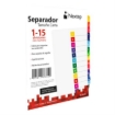 Imagen de Separador Nextep Economico 15 Divisiones con Numero