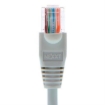 Imagen de Cable de Conexión Red Nexxt Solutions Cat5e 100 MHz 3.05m 24 AWG Color Gris