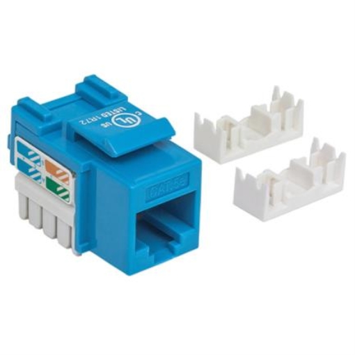 Imagen de Jack Intellinet Cat 5e de Impacto(Keystone) Color Azul