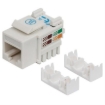 Imagen de Jack Intellinet Cat 6 de Impacto(Keystone) Color Blanco