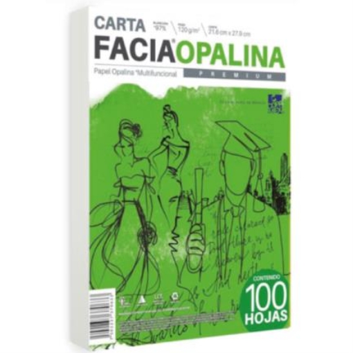 Imagen de PAPEL FACIA OPALINA CARTA BLANCA C/100 120GR
