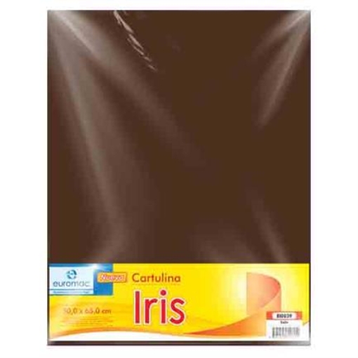 Imagen de CARTULINA EUROMAC IRIS CAFE 50X65CM C/10