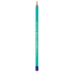 Imagen de LAPIZ BIC EVOLUTION HEXAGONAL C/12 RESINA