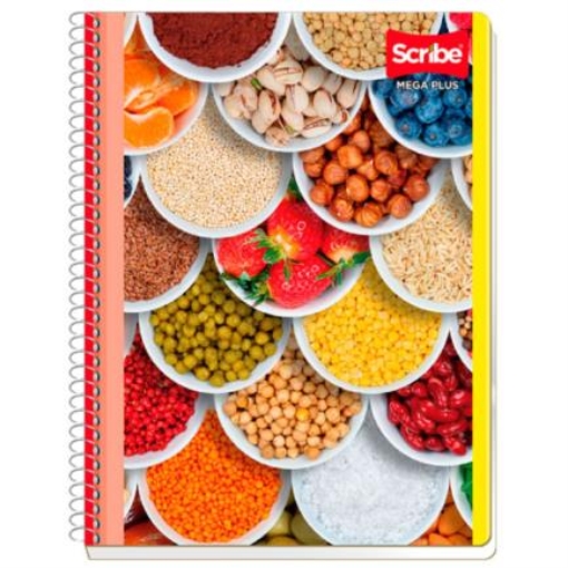 Imagen de CUADERNO SCRIBE PROFESIONAL MEGA RAYA 100 HJS C/36