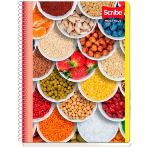 Imagen de CUADERNO SCRIBE PROFESIONAL MEGA C5 100 HJS C/36