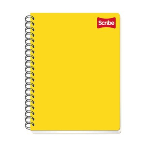 Imagen de CUADERNO SCRIBE PROFESIONAL CLASICO RAYA 100 HJS C/24
