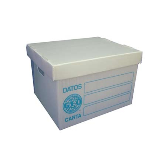 Imagen de CAJA GEO ARCHIVO PLASTICA CARTA