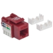 Imagen de Jack Intellinet Keystone de Impacto RJ45 Cat5e Color Rojo